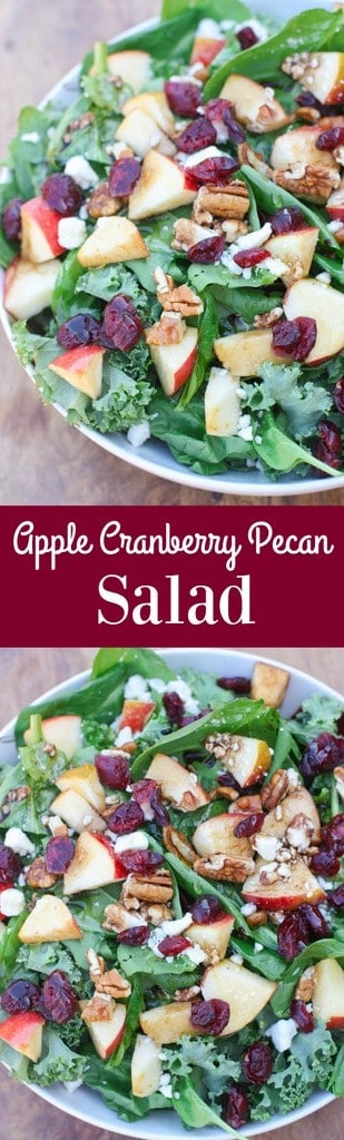 Apple Cranberry Pecan Salad with balsamic vinaigrette | Tastes Better From Scratch
