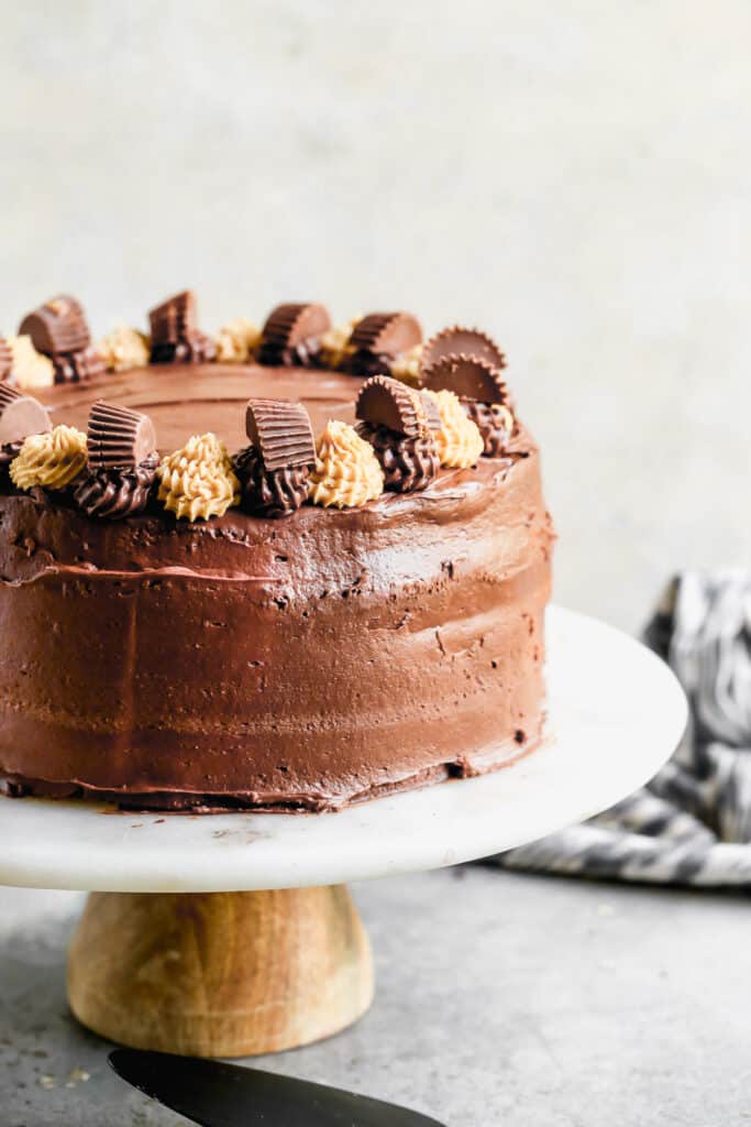 A round layered Chocolate Peanut Butter Cake decorated with Reese's peanut butter cups on top.