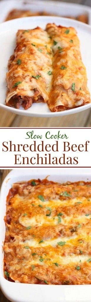 Slow Cooker Shredded Beef Enchiladas -- tender shredded beef cooked in a simple homemade enchilada sauce. Layered in tortillas, topped with cheese and bake until bubbly! You'll never use canned enchilada sauce again! | Tastes Better From Scratch
