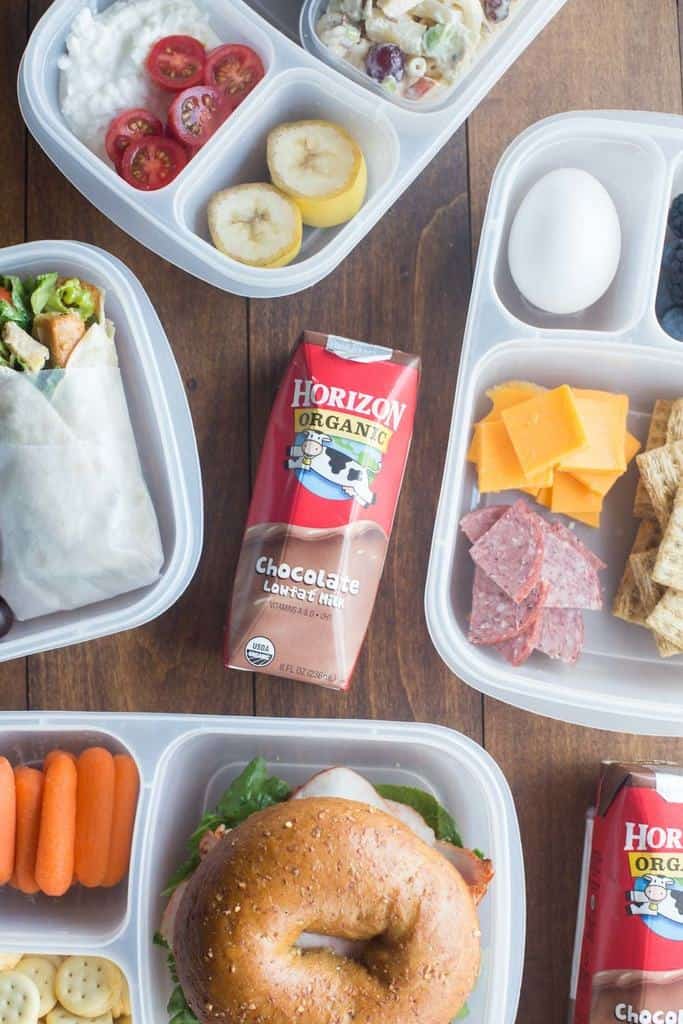 Back to School Lunch Ideas, tips and tricks! 