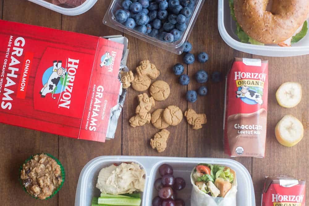 Back to School Lunch Ideas, tips and tricks! 