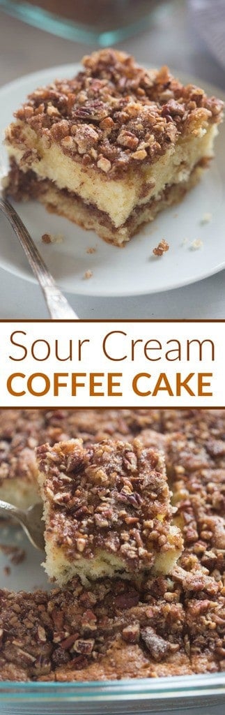 This Sour Cream Coffee Cake is not only incredibly EASY to make, it's absolutely delicious! A tender crumb cake with cinnamon pecan topping. You wont be able to stop at just one piece.| Tastes Better From Scratch