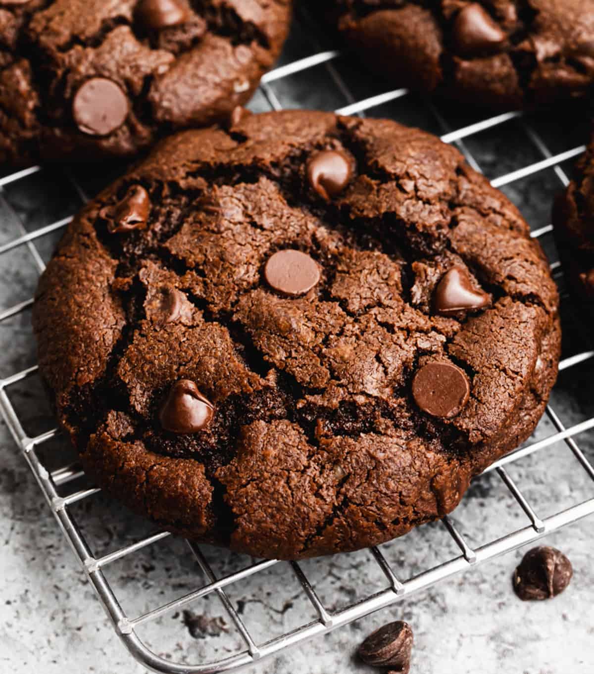 Double chocolate chip cookies discount