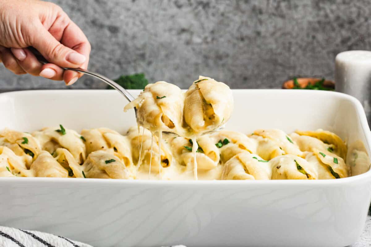 The best Chicken Alfredo Stuffed Shells recipe is easy to make and keeps the whole family happy with a creamy alfredo sauce, chicken, and broccoli. It's easier than it looks!
