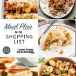 A collage of 5 dinner recipes from meal plan 102.