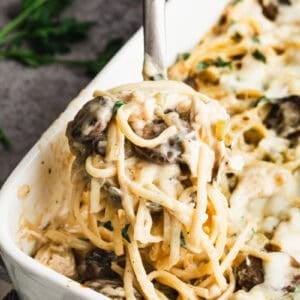 This easy Chicken Tetrazzini recipe is a comforting meal with pasta, chicken, and mushrooms in a homemade cream sauce. It's quick to make and tastes delicious!