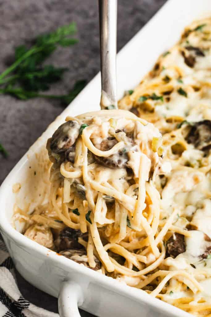 This easy Chicken Tetrazzini recipe is a comforting meal with pasta, chicken, and mushrooms in a homemade cream sauce. It's quick to make and tastes delicious!