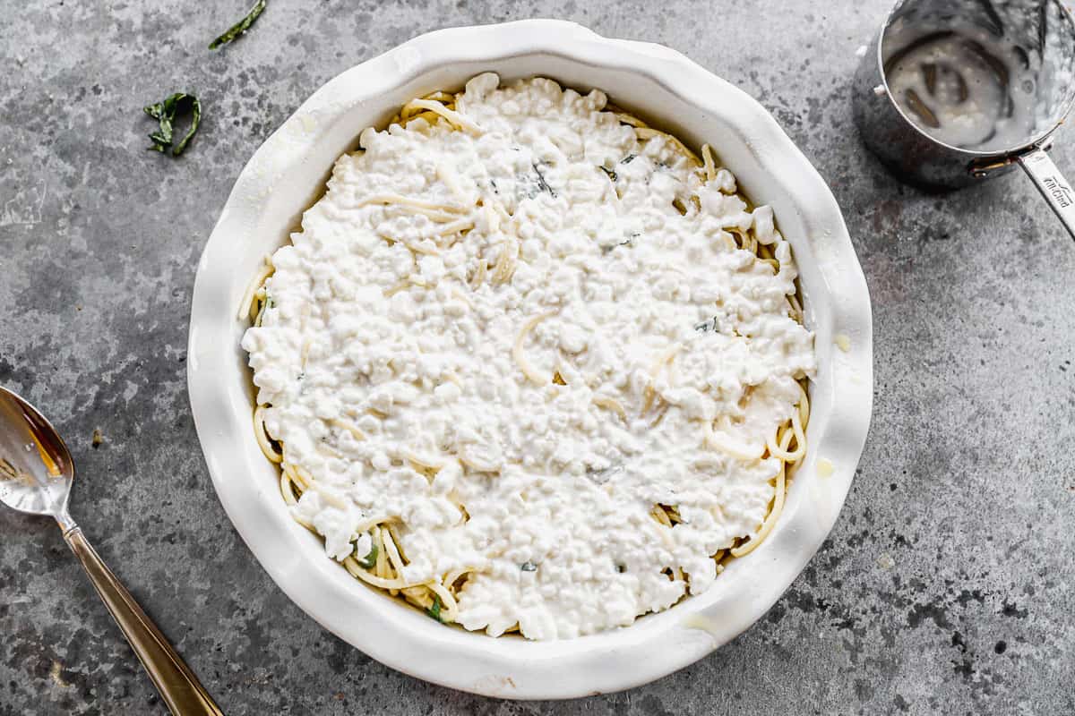 Cottage cheese spread on top of a layer of spaghetti noodles for Italian spaghetti pie.