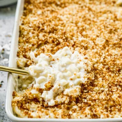 A simple Truffle Mac and Cheese recipe freshly baked and a spoonful being scooped.