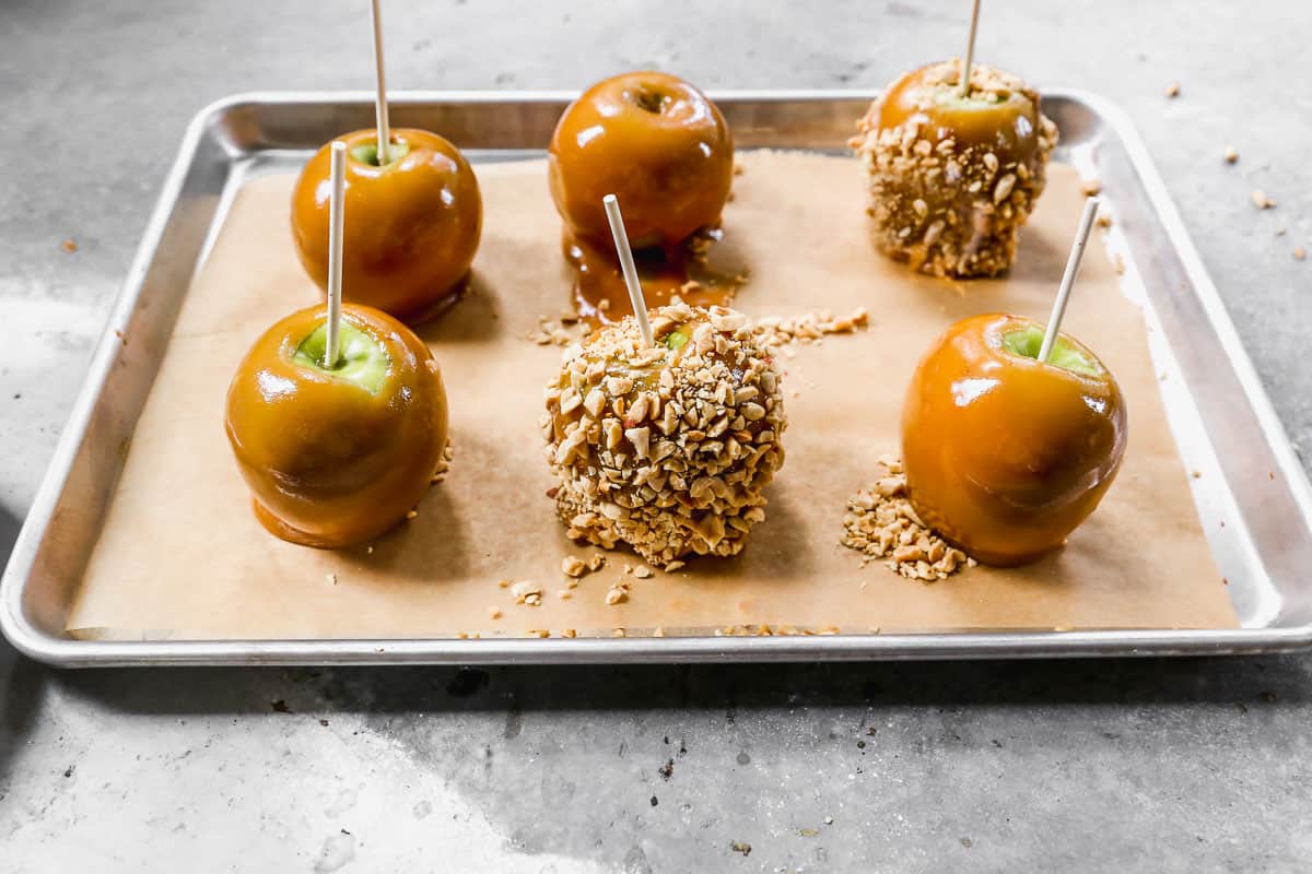 Six homemade Caramel Apples after being dipped, two of them covered in chopped nuts.