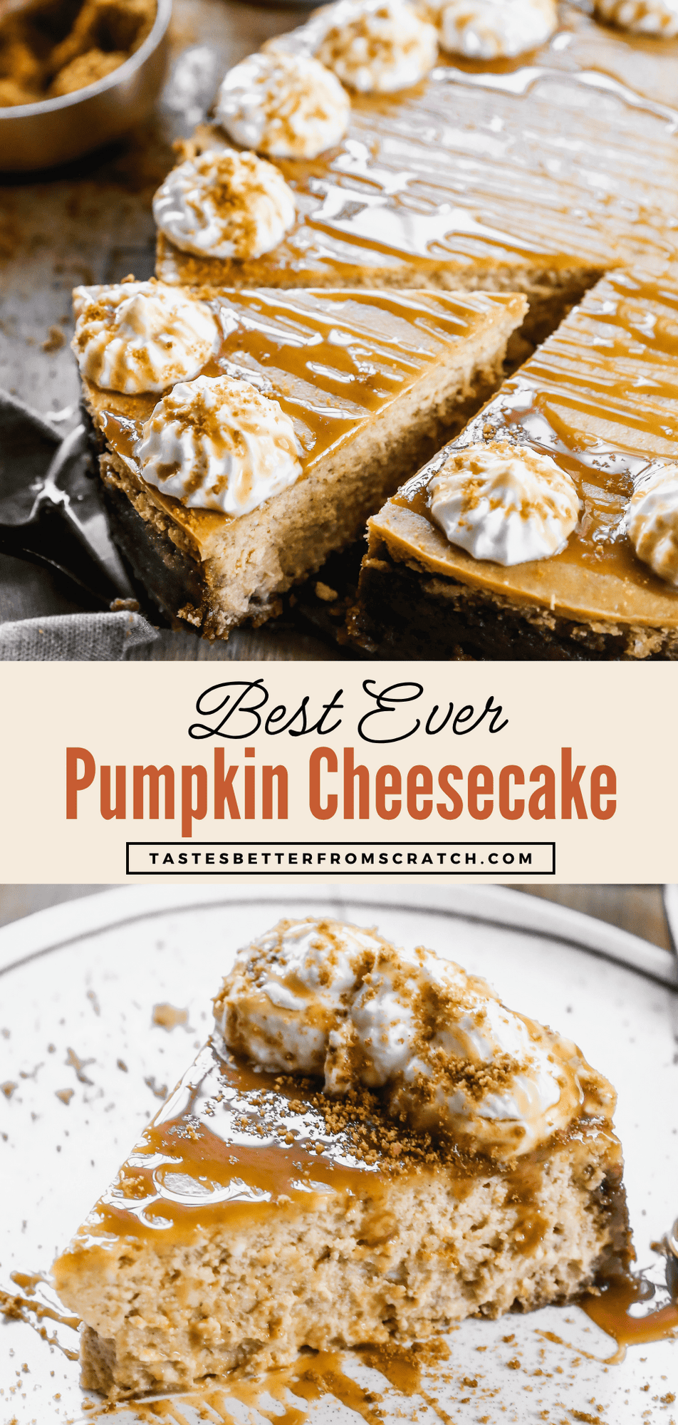 Creamy Pumpkin Cheesecake