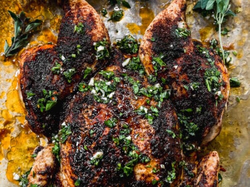 https://tastesbetterfromscratch.com/wp-content/uploads/2023/10/Spatchcock-Chicken-7-500x375.jpg