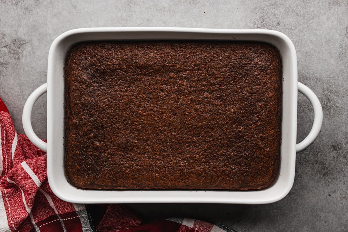 A homemade Gingerbread Cake in a 9x13 dish, freshly baked.
