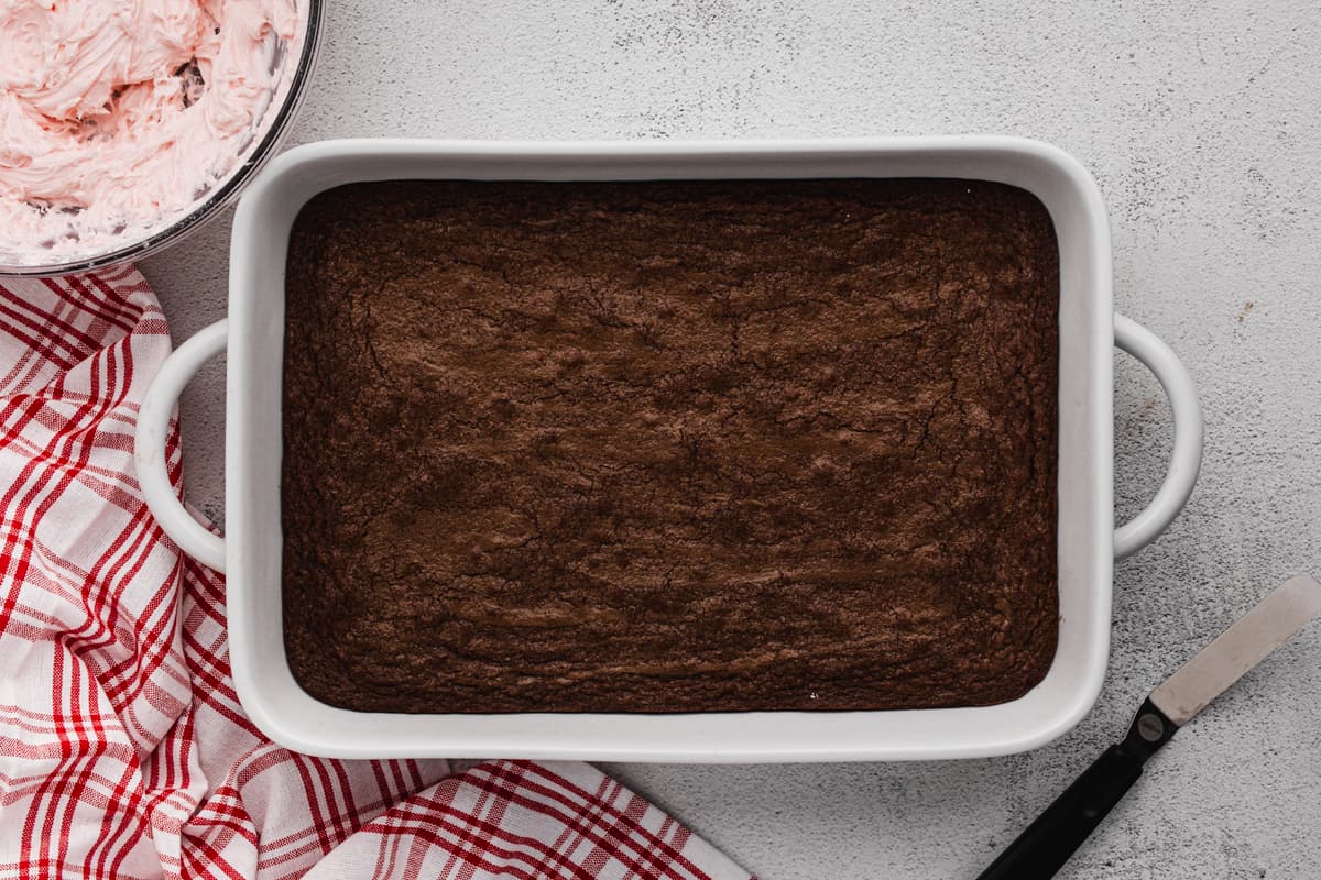 A 9x13 pan of baked brownies.