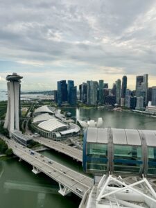 Singapore from the sky