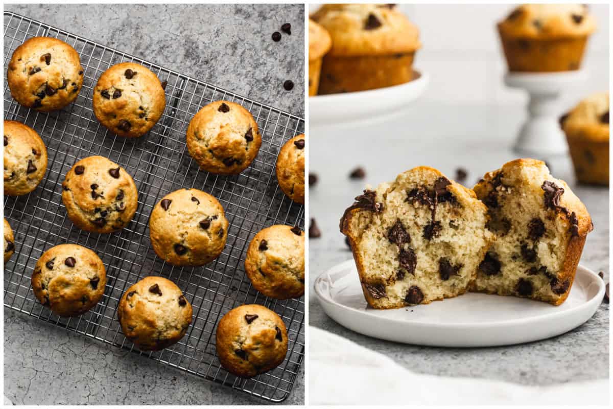 Two images of freshly baked bakery style chocolate chip muffins on a cooling rack, then after one is cut in half. 