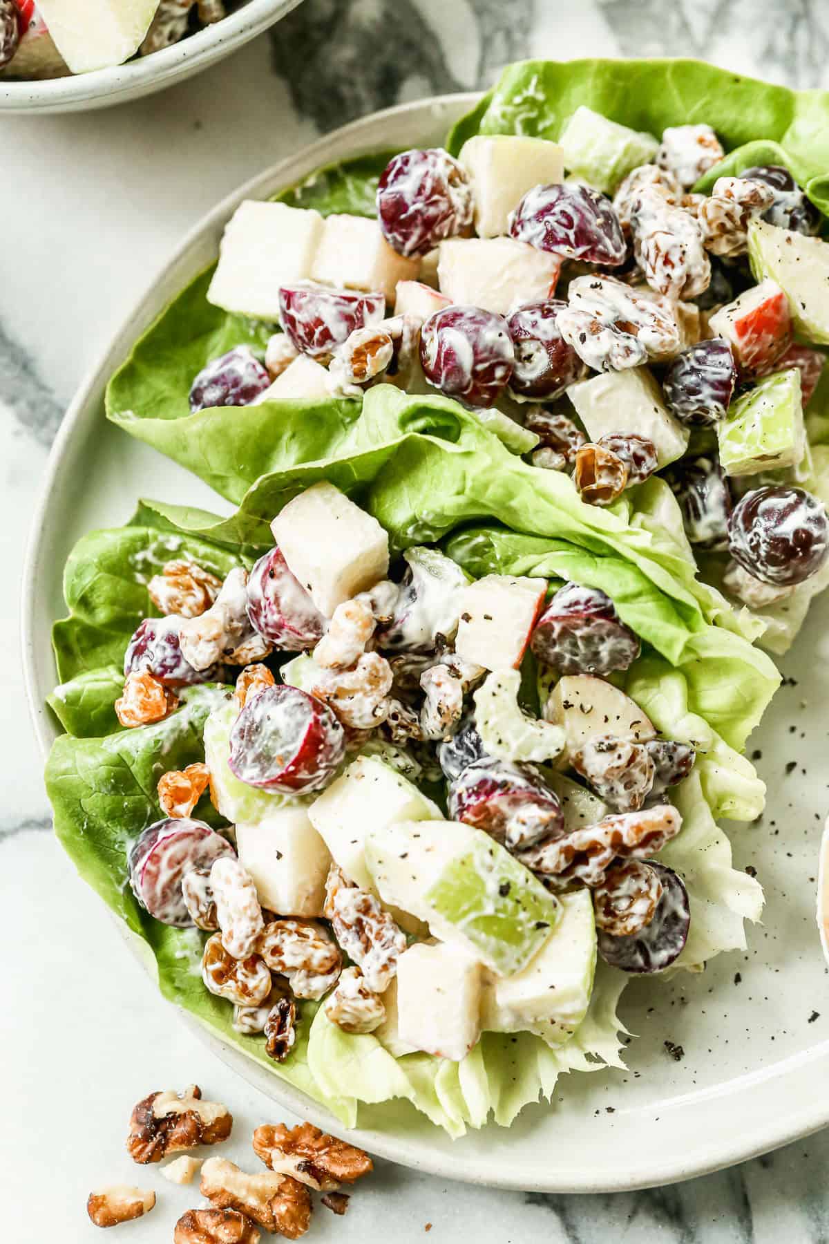 This Waldorf Salad mixes apples, celery, and nuts in a creamy dressing- refreshing and perfect for fall lunches.
