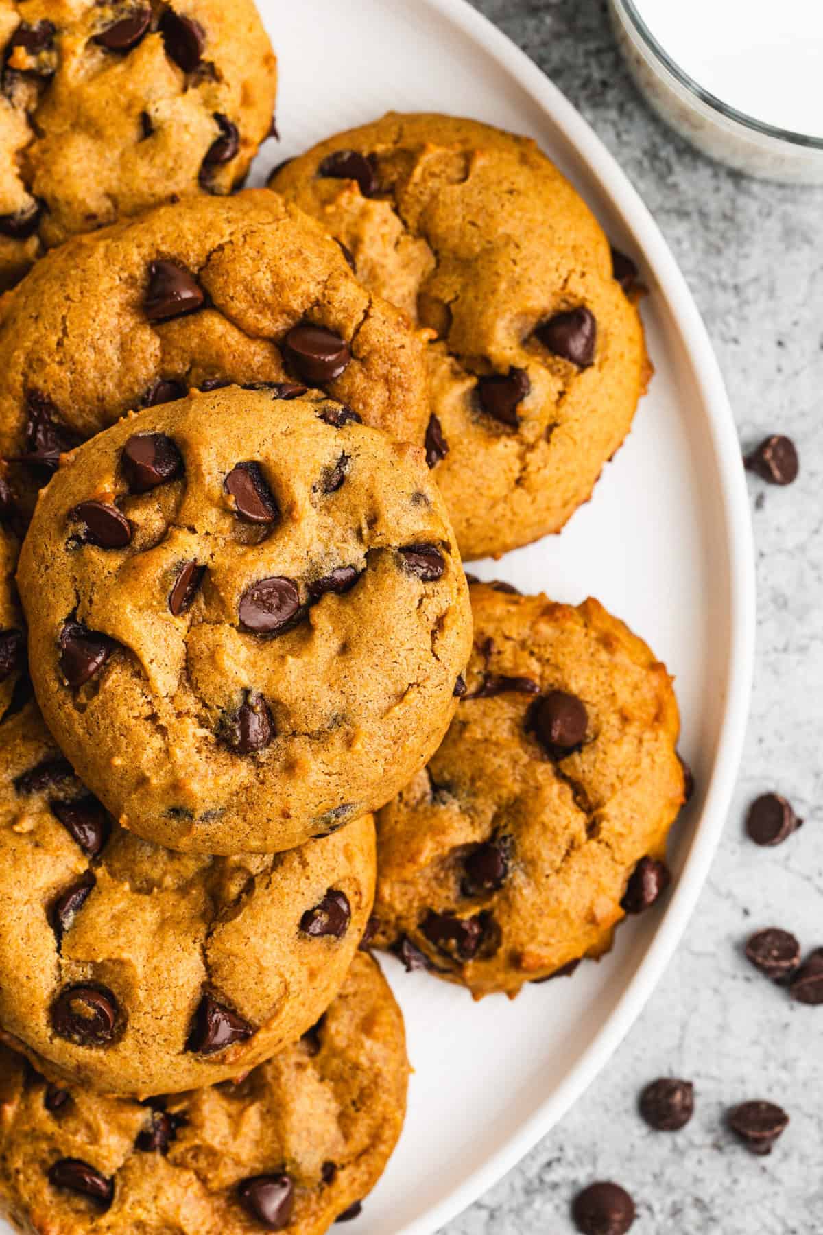Pumpkin chocolate chip cookies are the best way to enjoy pumpkin in a handheld treat.