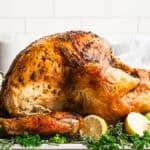 This perfectly roasted Thanksgiving turkey is the star of any holiday table and can be prepped the night before to save time.