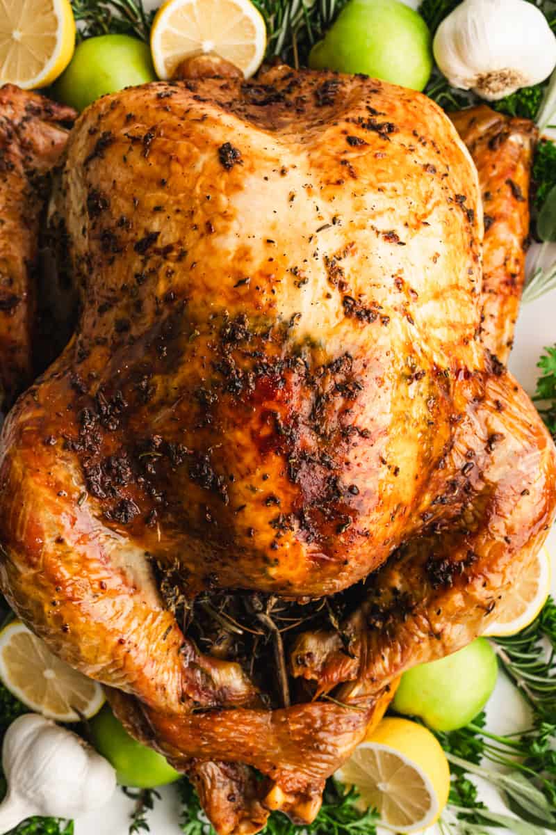 This Easy No-Fuss Thanksgiving Turkey takes the stress out of holiday roasting and turns out tender and flavorful every time.
