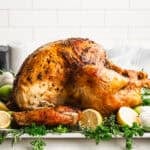 This roasted turkey recipe makes hosting easier with simple seasoning and foolproof results every time.