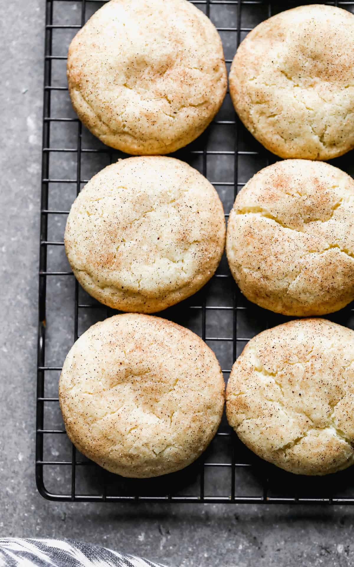 A cinnamon-sugar cookie that adds warmth and nostalgia to every bite.