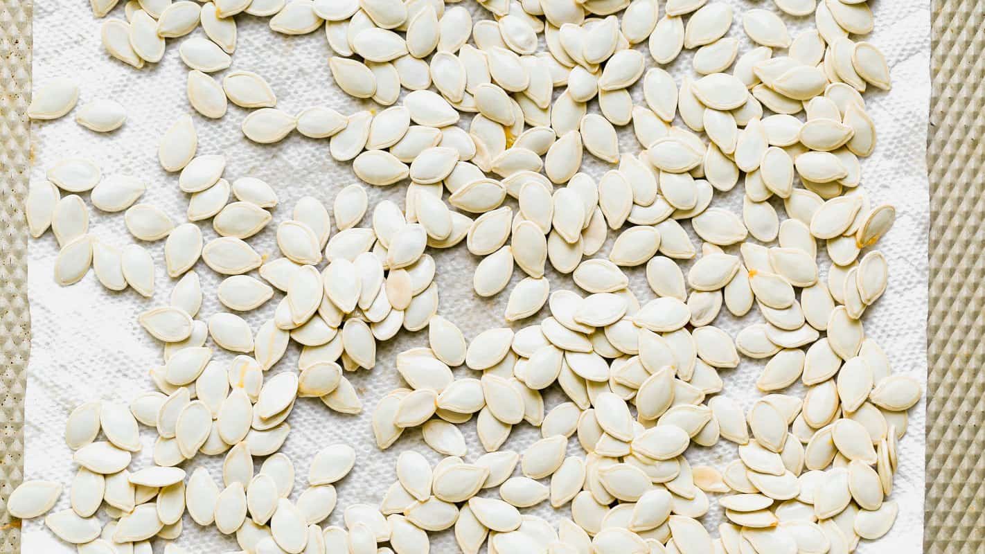 Rinsed pumpkin seeds spread in a single layer on paper towels to dry overnight