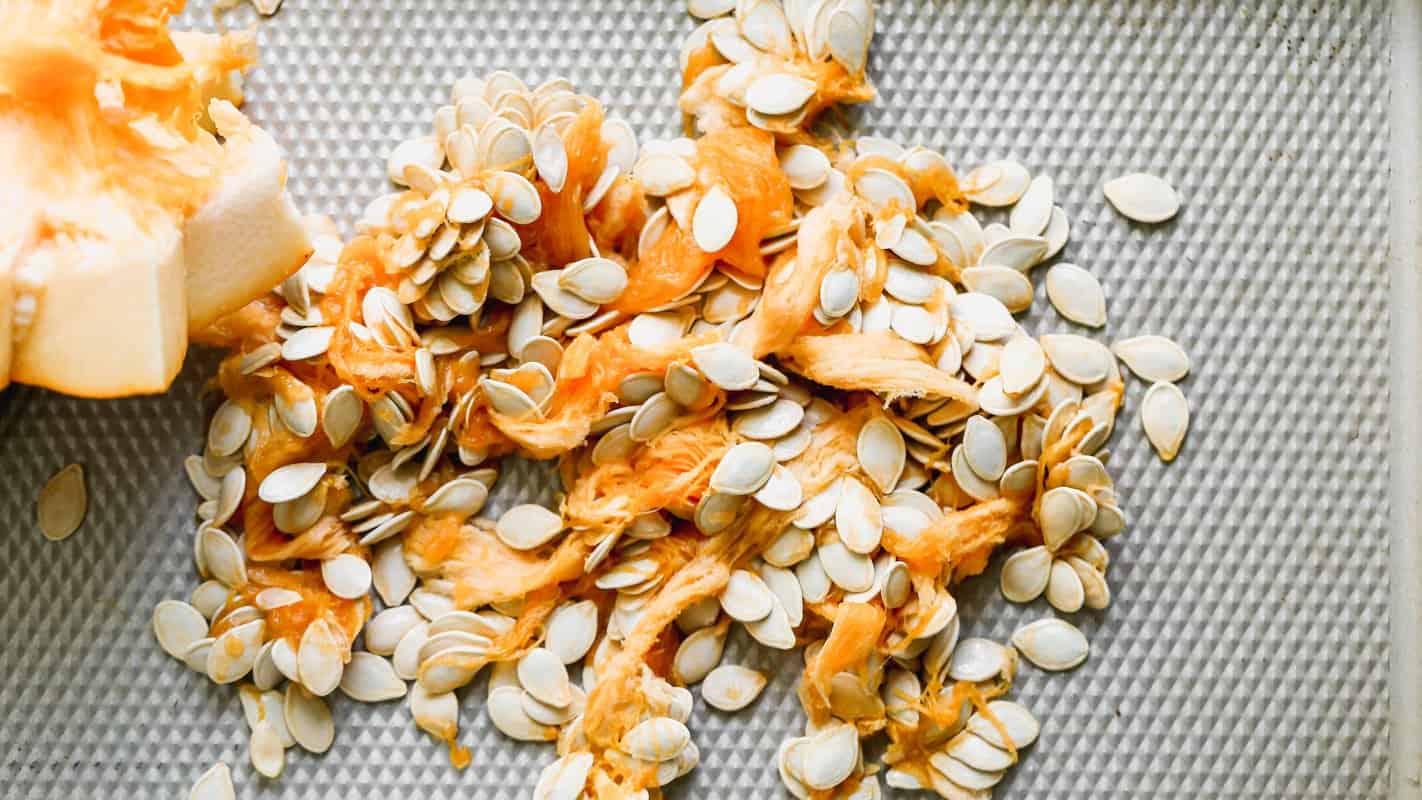 Fresh pumpkin seeds still covered in stringy orange pulp on a baking sheet